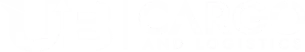UB Cargo Nepal